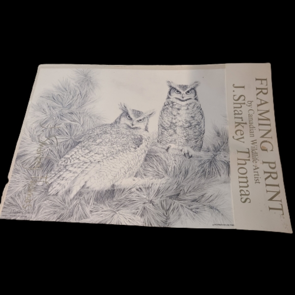 Set of Wildlife framing prints by the Canadian Wildlife artist J. Sharkey Thomas - Picture 3 of 5